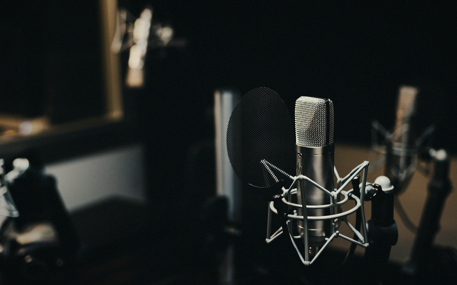 Studio microphone with pop filter mounted in a shock mount in a dim recording booth